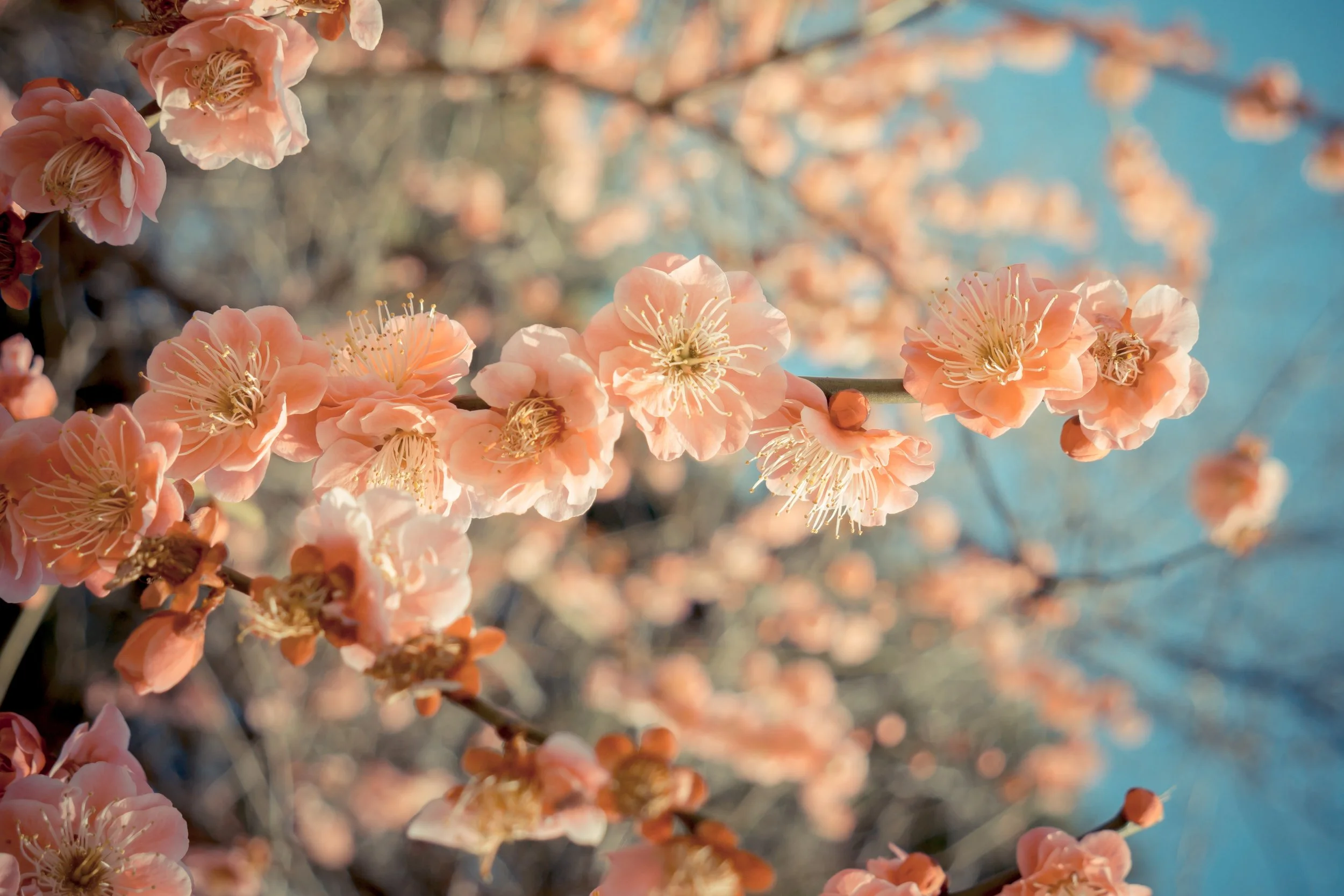 AdobeStock_106084987.jpeg