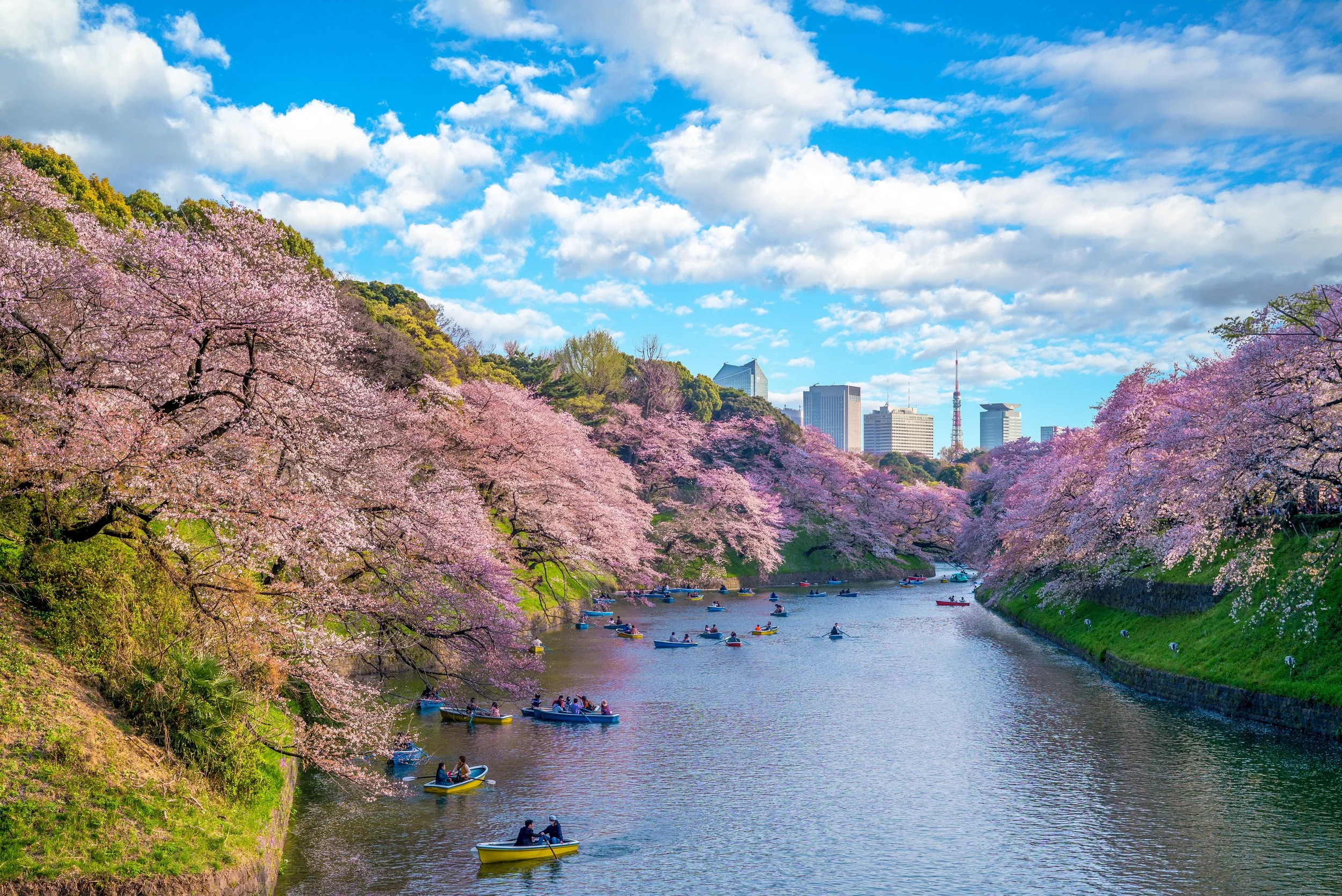 AdobeStock_239306253.jpeg
