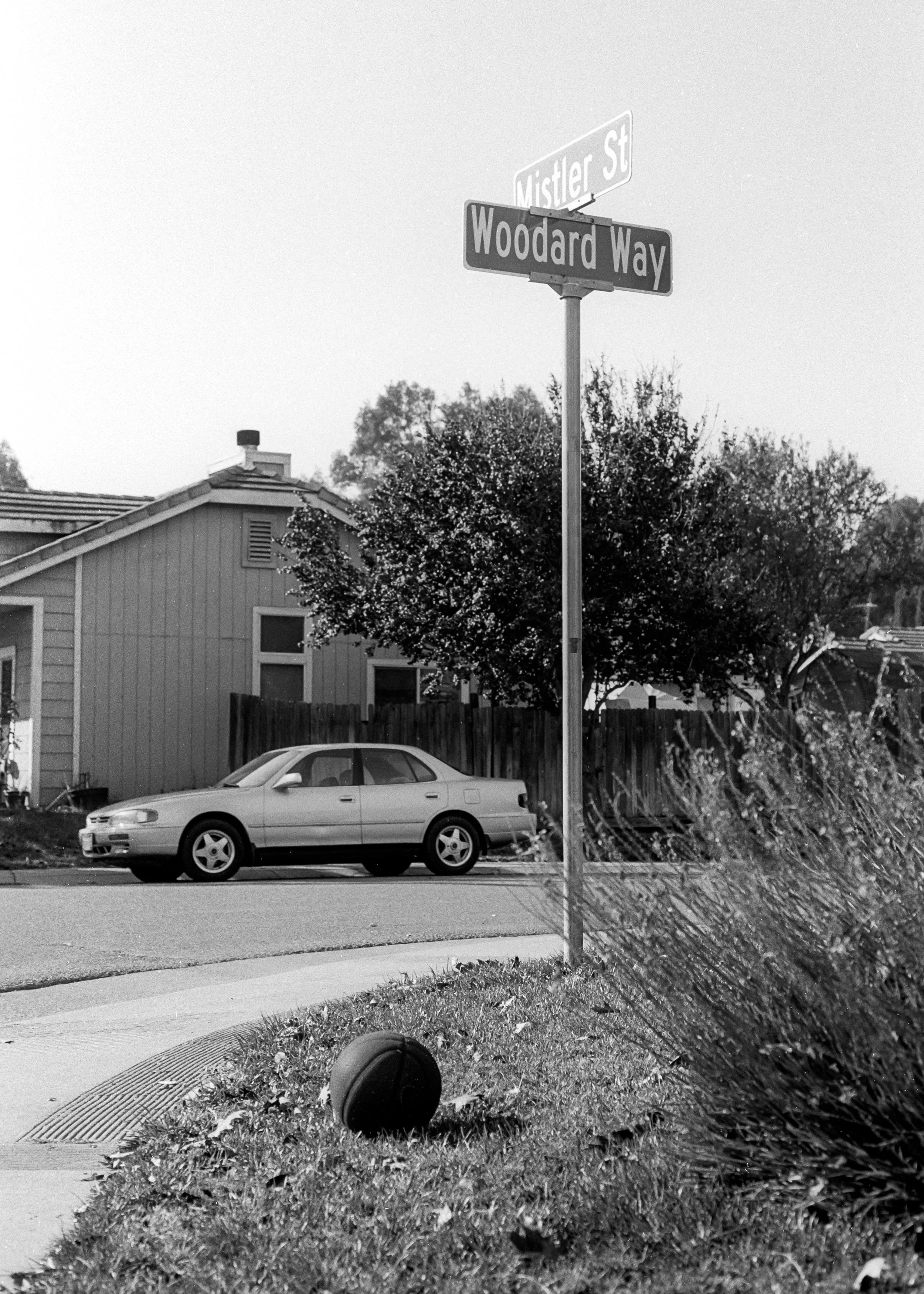 2020-11-30-0010.jpg