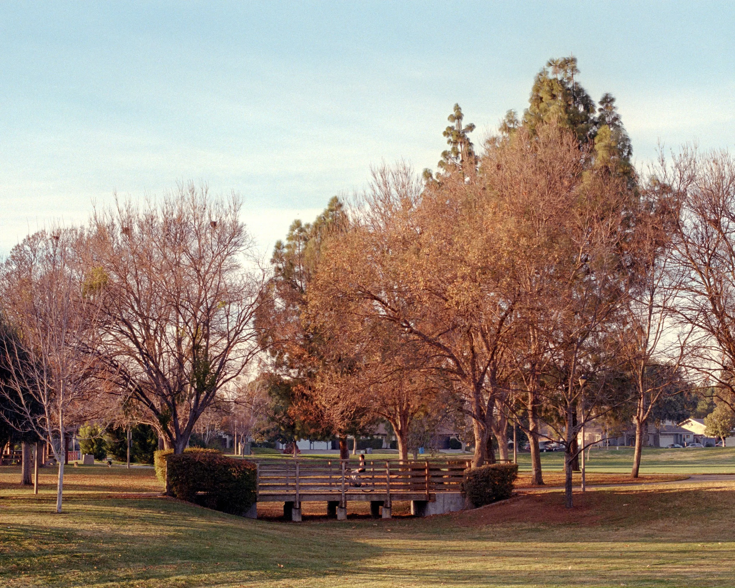 2020-12-20-0040.jpg