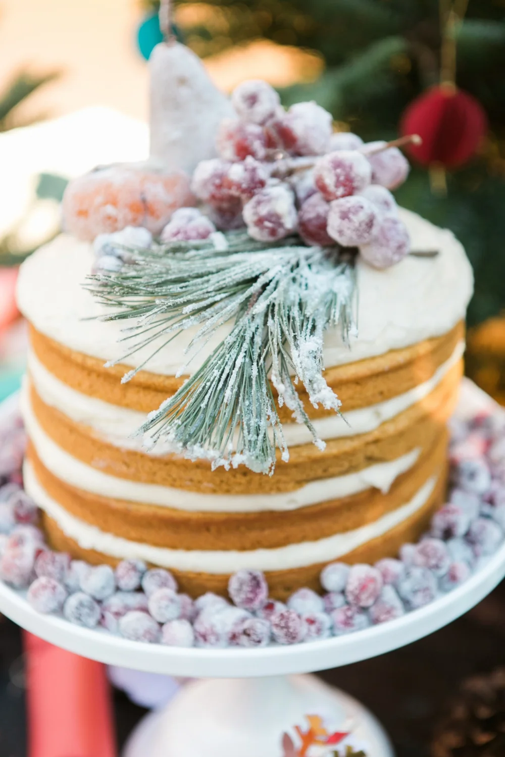 TWINK + SIS HOLIDAY PLAYDATE — Twink + Sis