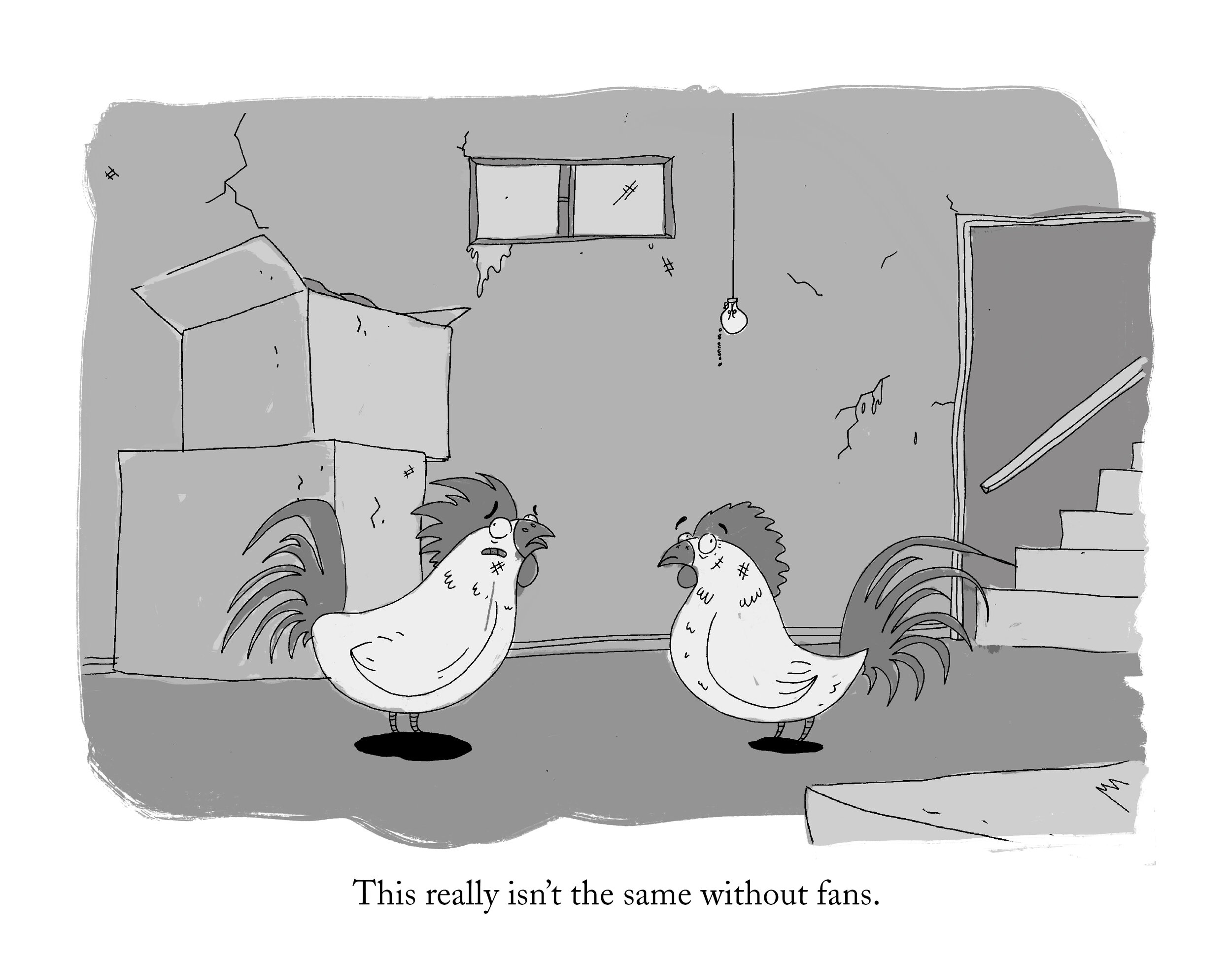 3_Rooster_spencerafonso.jpg