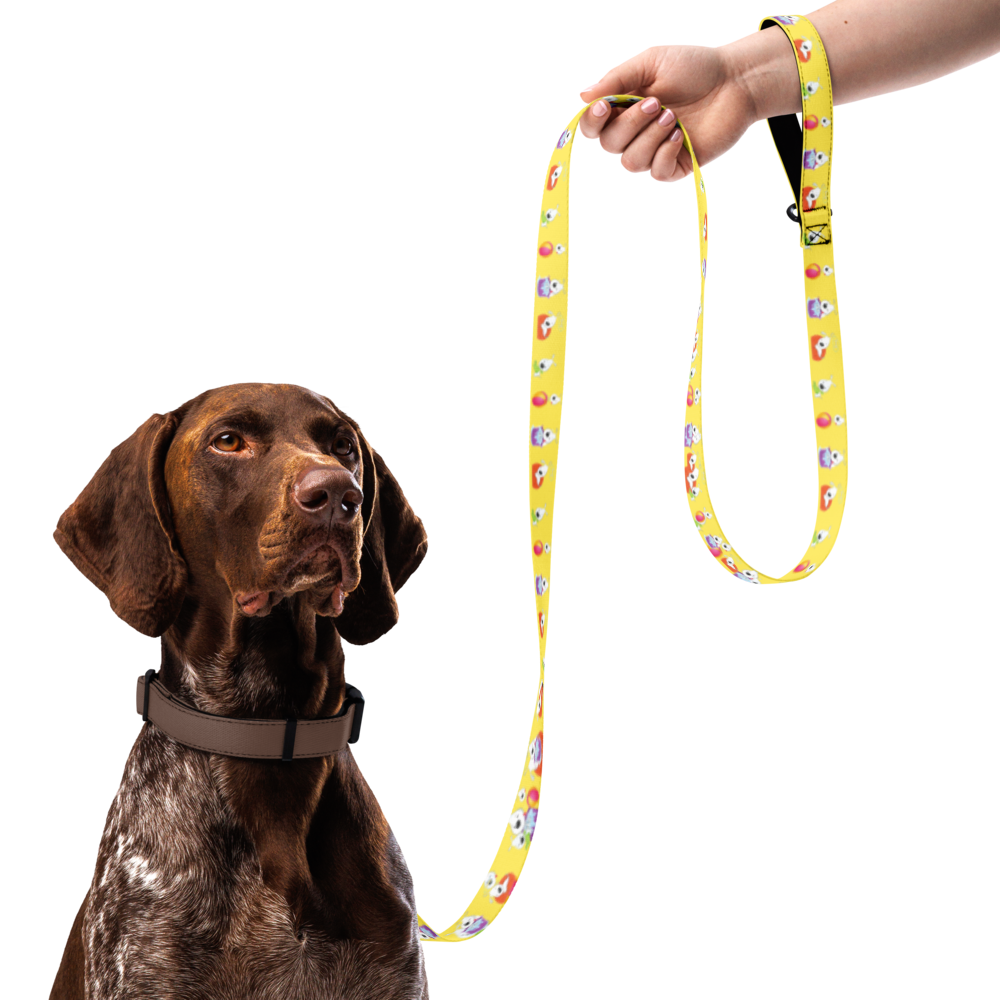 pet-leash-white-front-69bbf0897b981.png