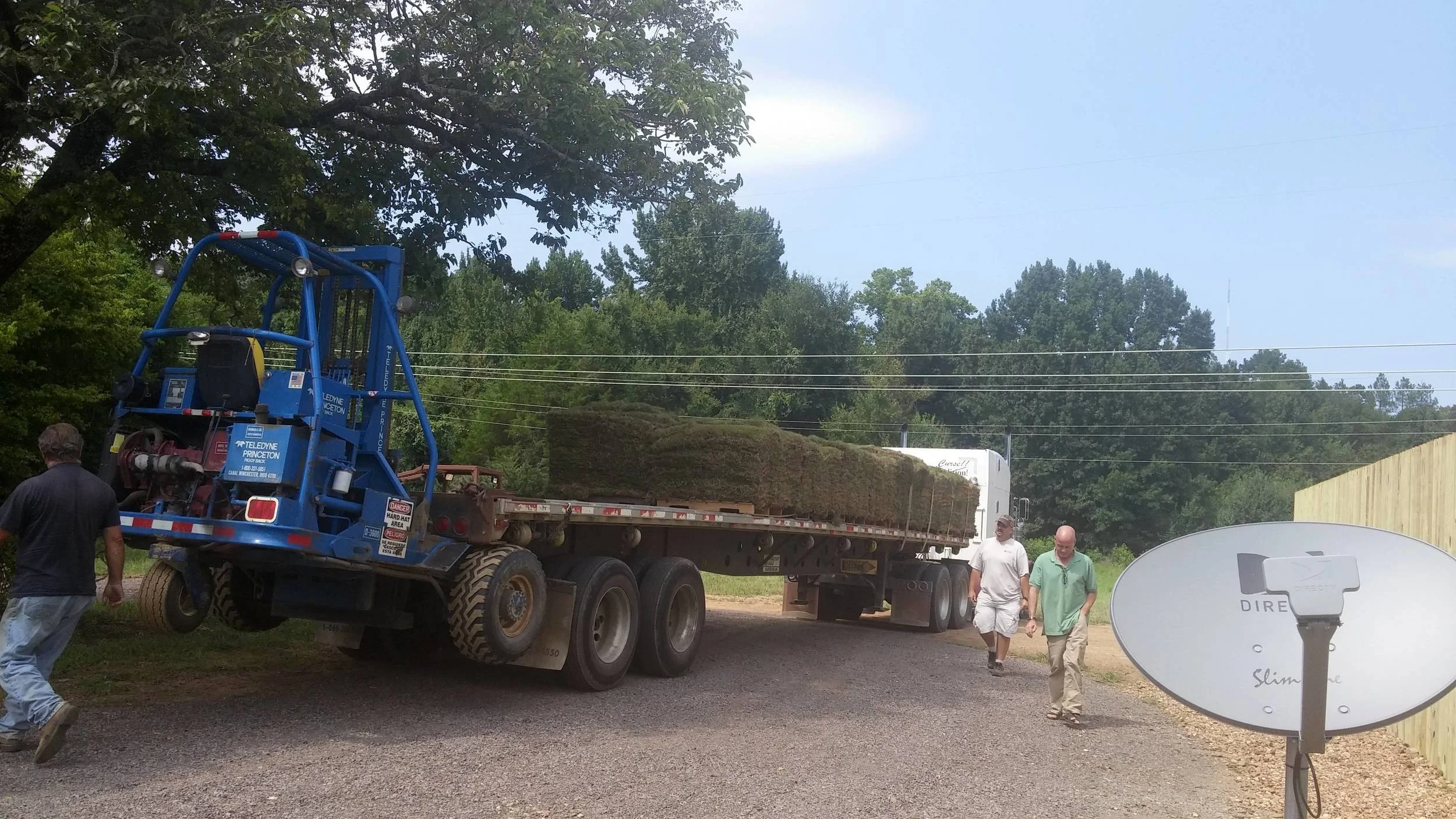Yay, the sod is here!