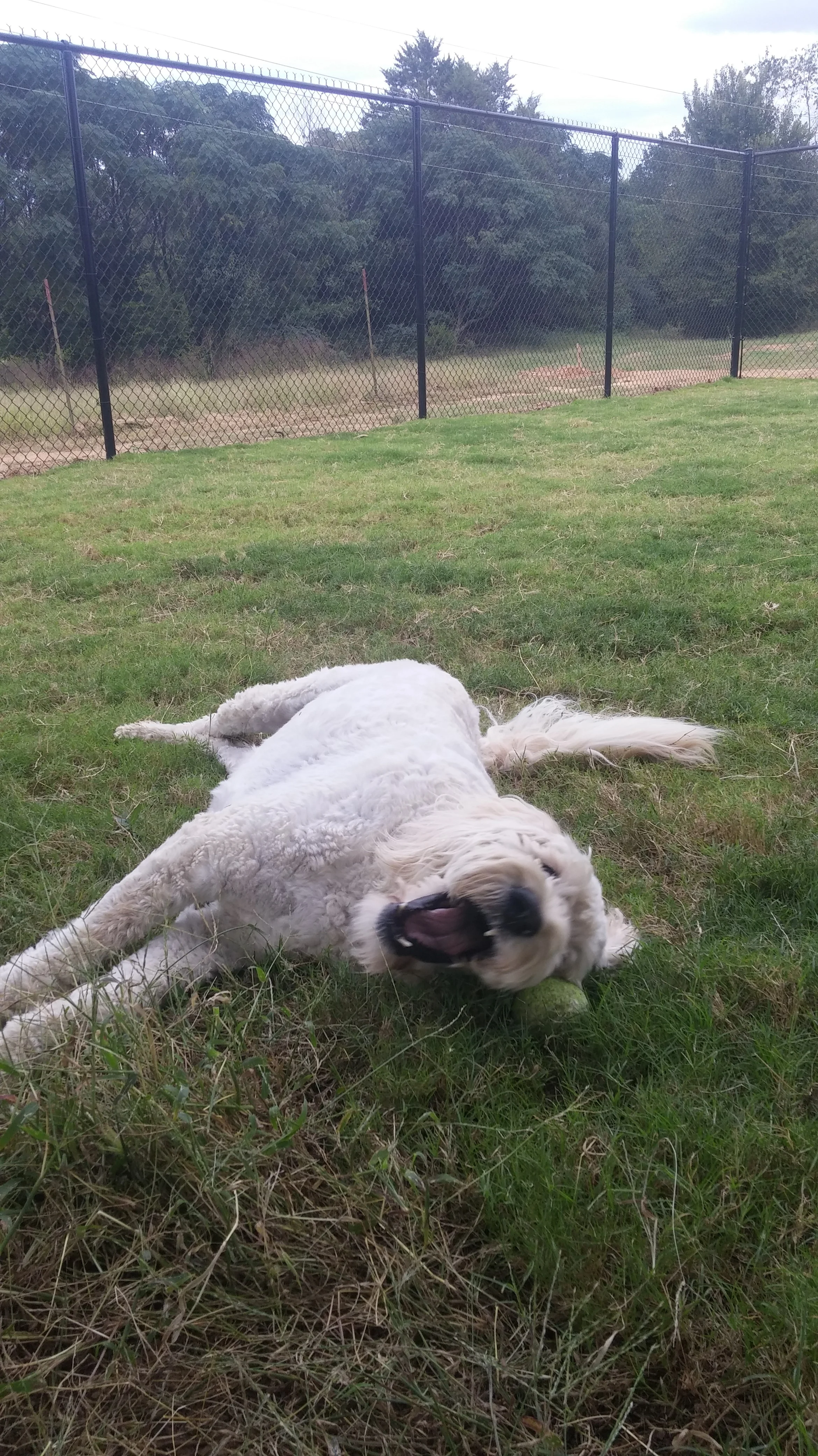 20150926_165256.jpg