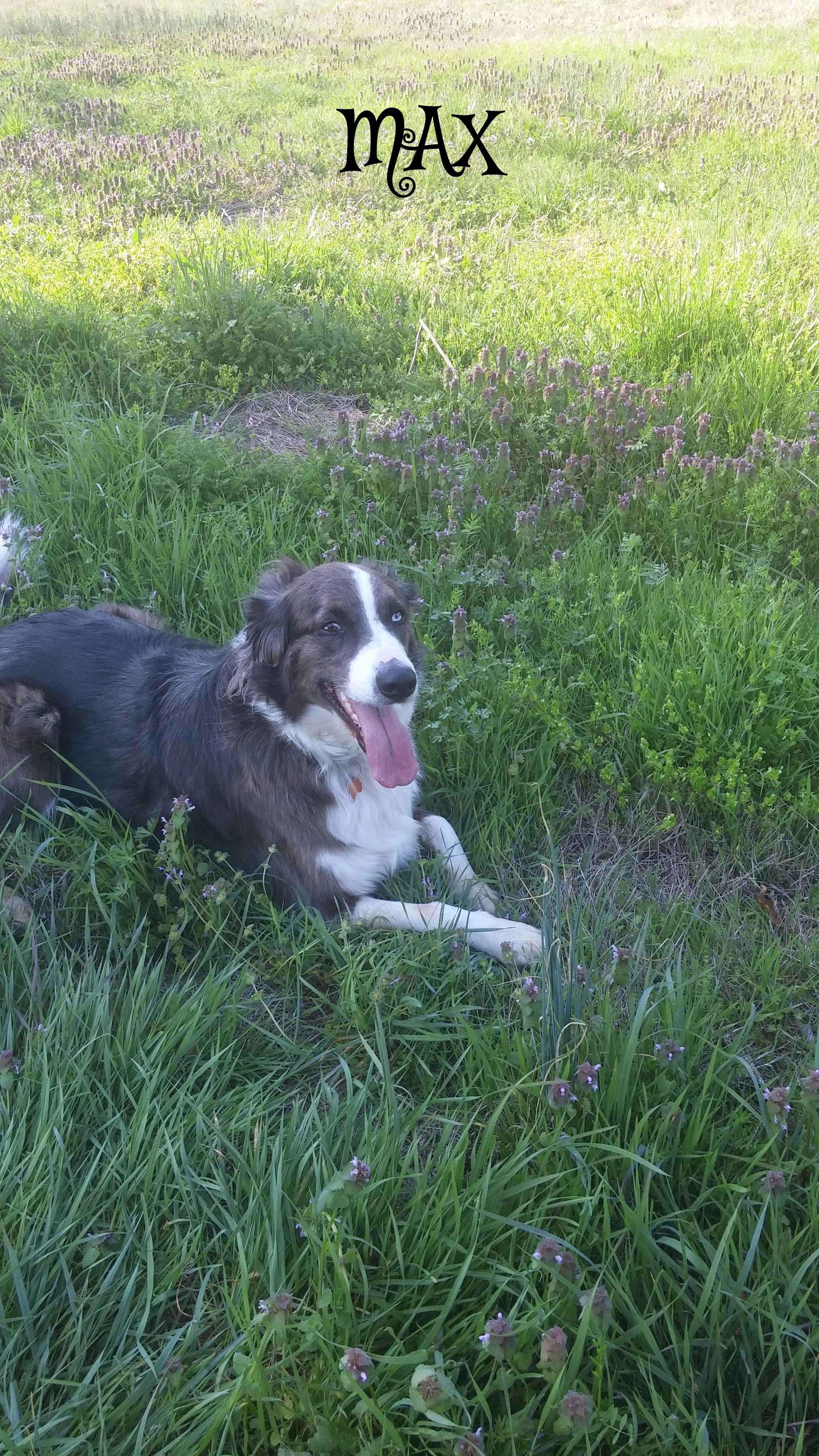 Max