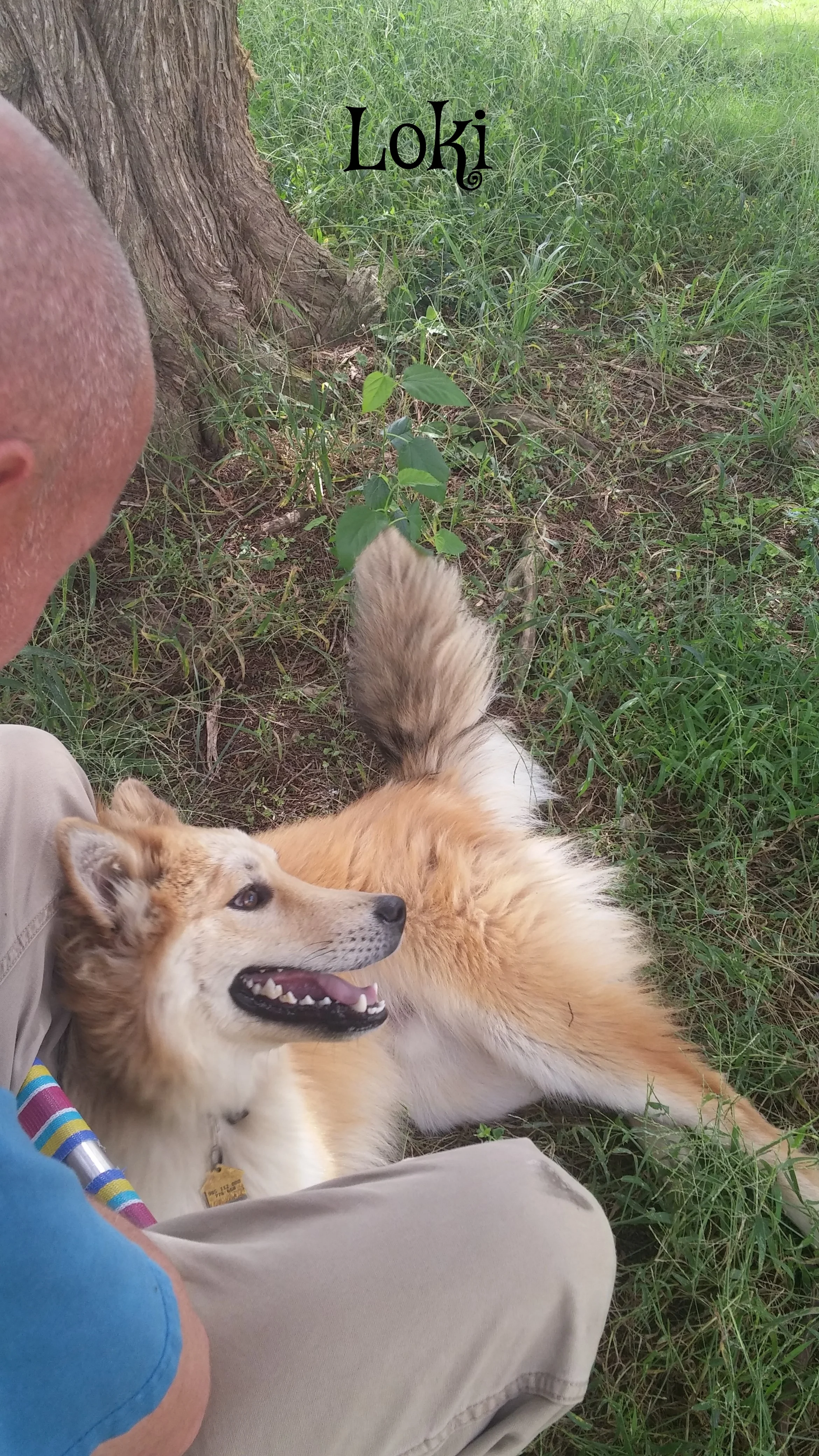 20150911_112441.jpg