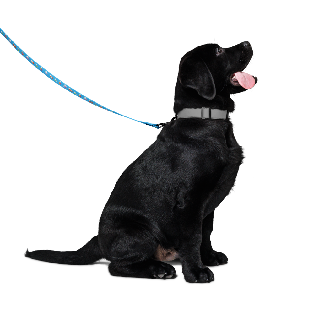 pet-leash-white-front-6a202e6a4a128.png