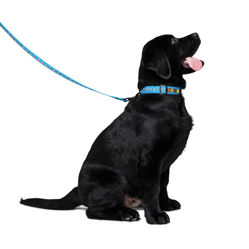 pet-collar--leash-white-m-front-6a2035375a58f.png