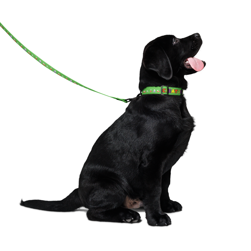pet-collar--leash-white-m-front-6a2047398356b.png