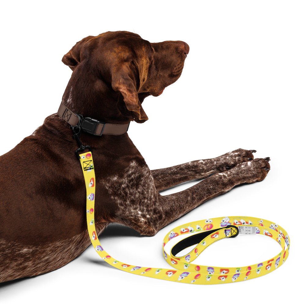 pet-leash-white-front-69bbf0897b87b.png