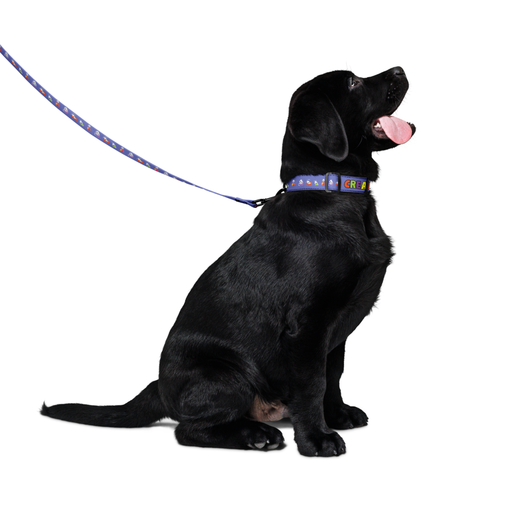 pet-collar--leash-white-m-front-6a203893f16c7.png