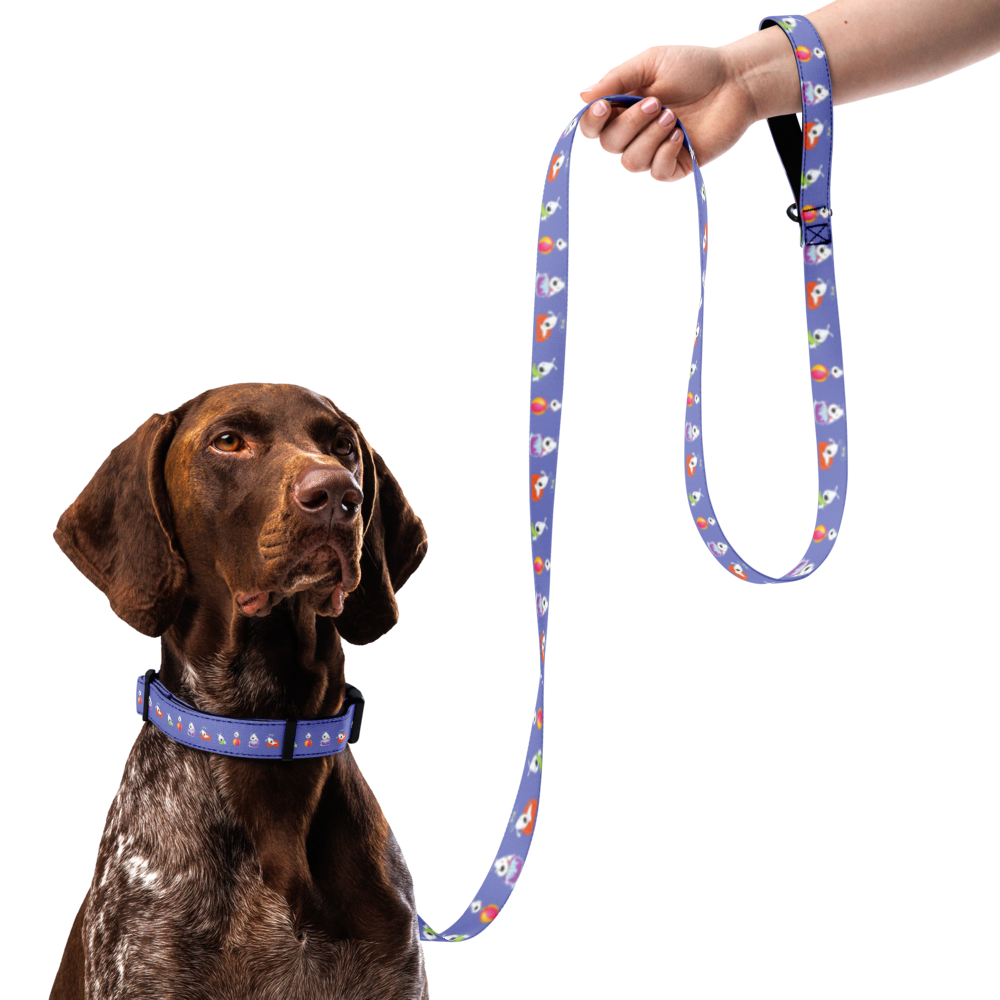 pet-collar--leash-white-l-front-69bb1bcd67cc5.png