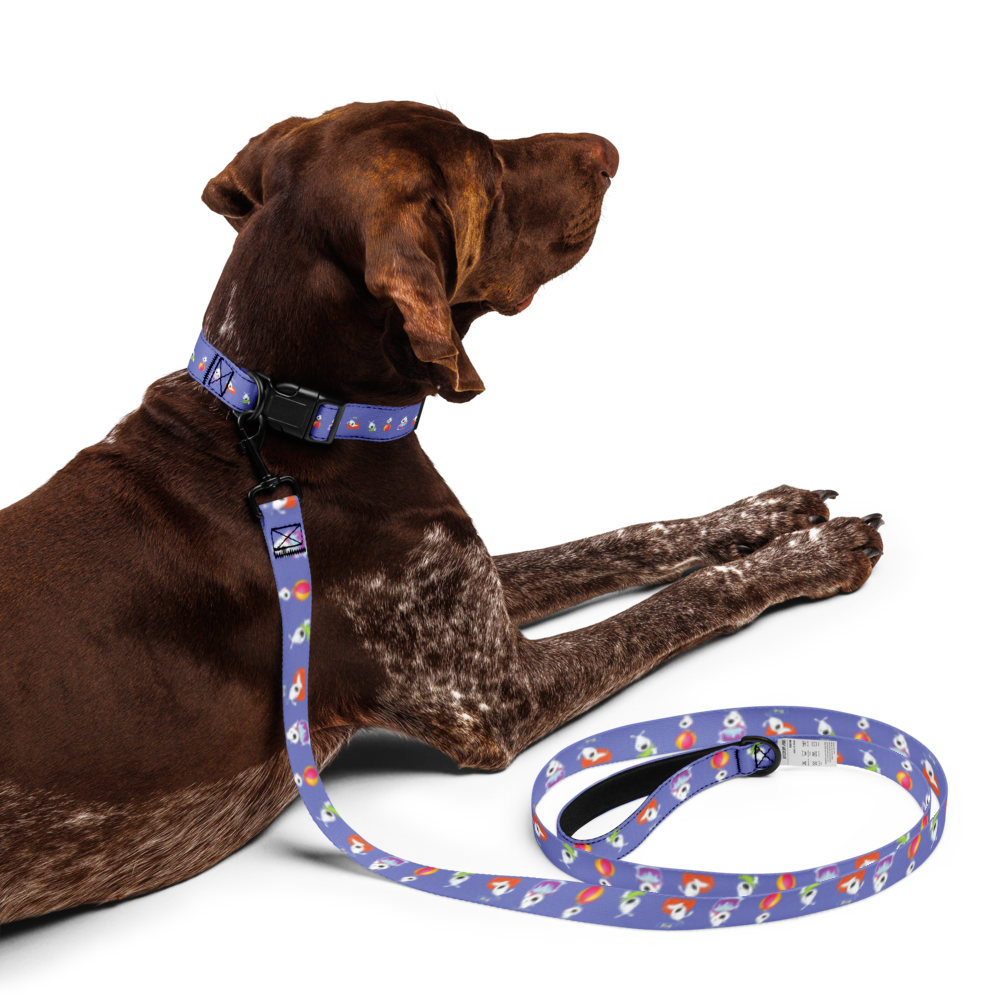 pet-collar--leash-white-l-front-69bb1bcd67c26.png