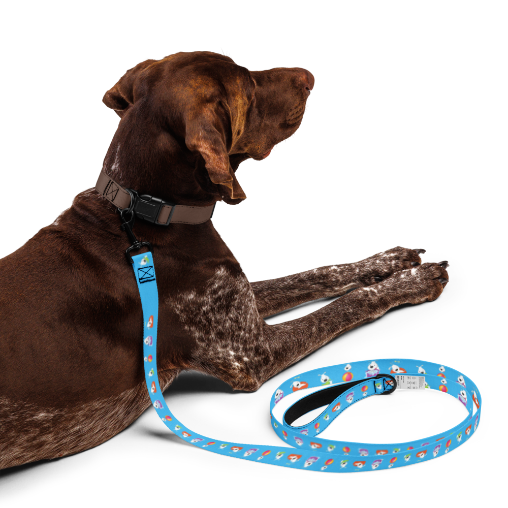 pet-leash-white-front-6a202e6a4a22b.png