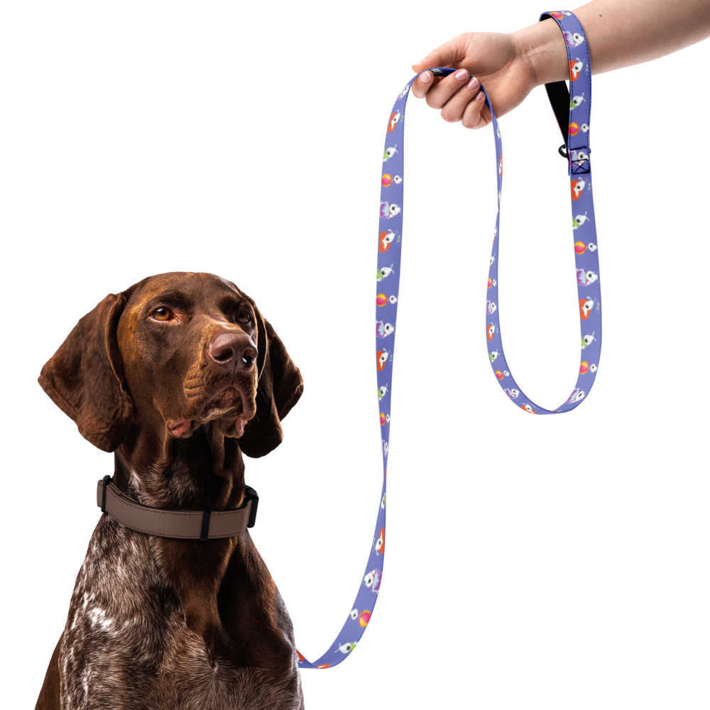 pet-leash-white-front-69bb2c7cd7a80.png