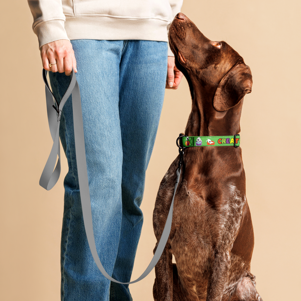 pet-collar-white-l-front-6a1f3f74813e0.png