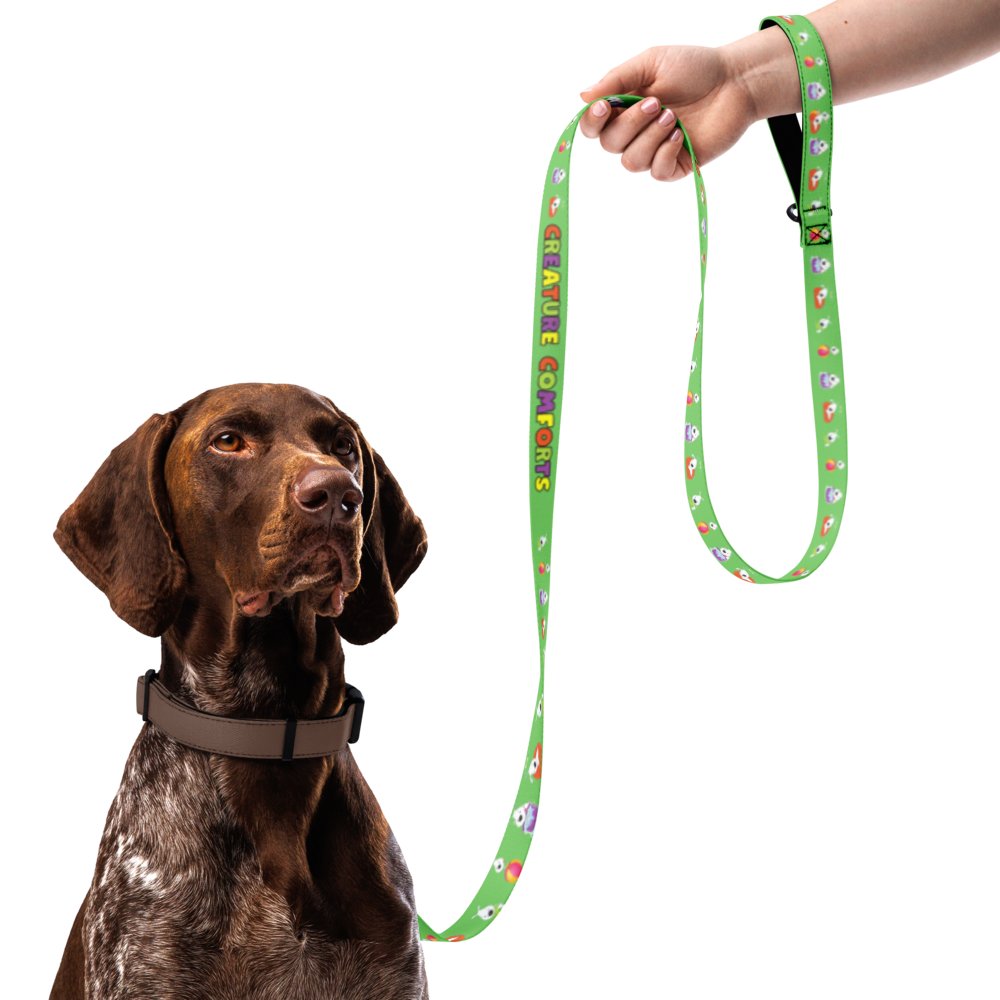 pet-leash-white-front-6a1f521d15cbb.png