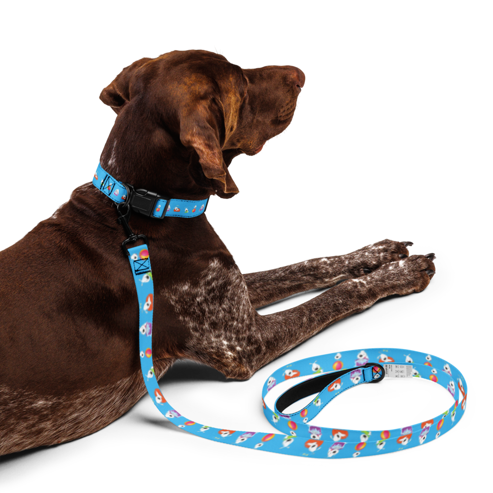 pet-collar--leash-white-l-front-69bb1ac5ef973.png