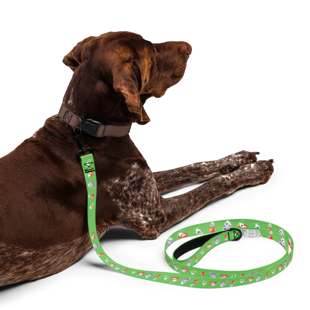pet-leash-white-front-6a1f521d15bb1.png