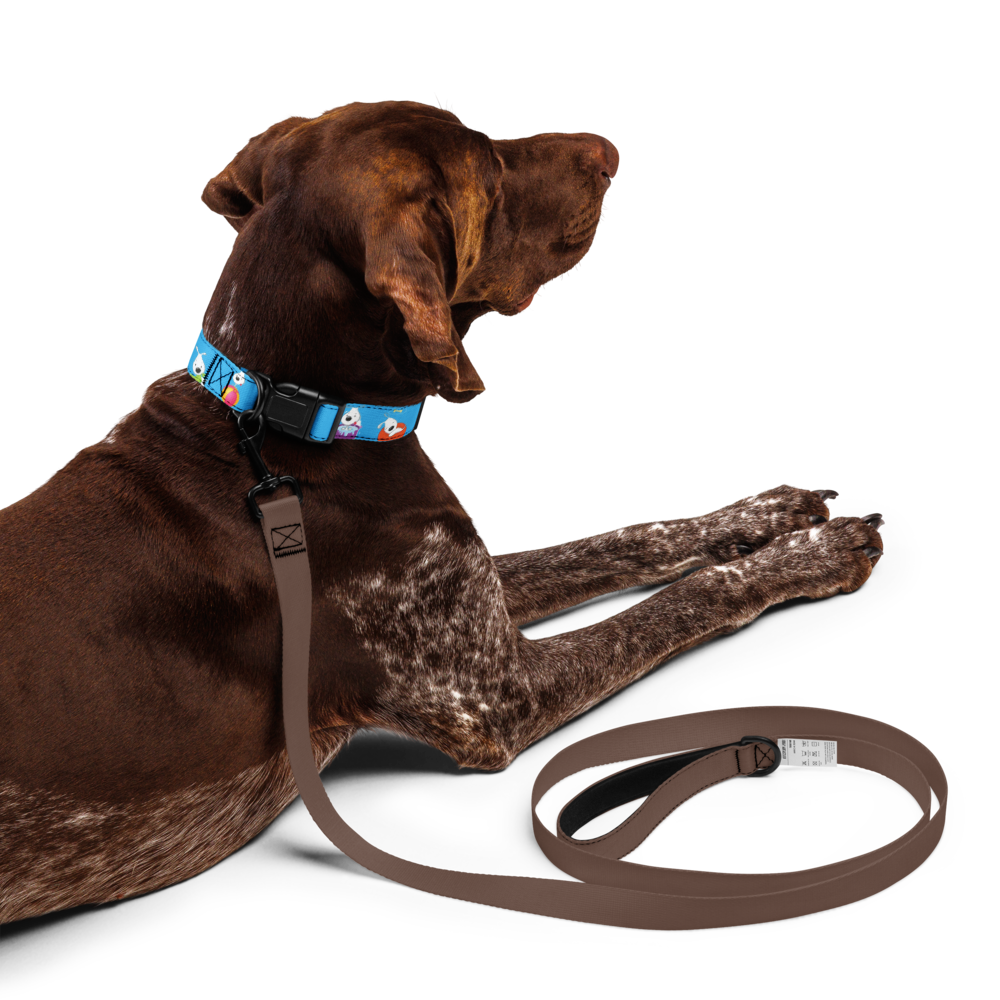 pet-collar-white-l-front-69bbeedae8c33.png