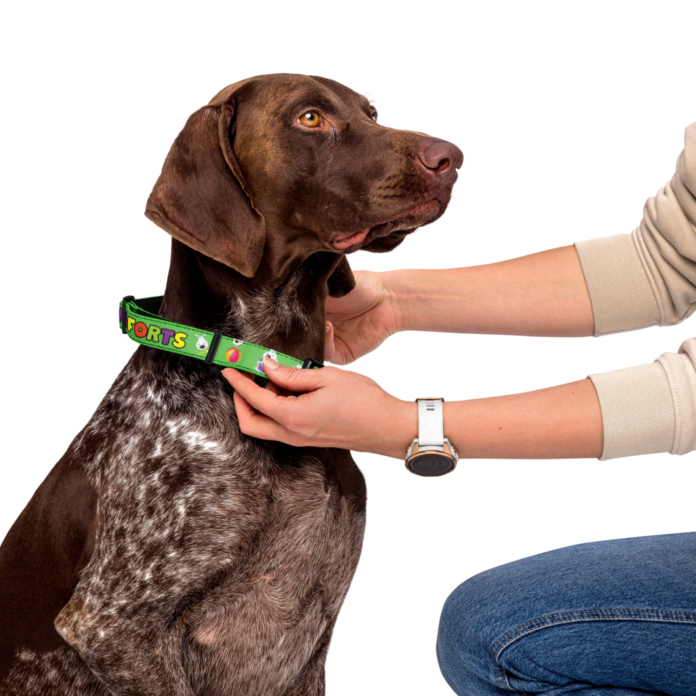 pet-collar-white-l-front-6a1f3f74814f0.png