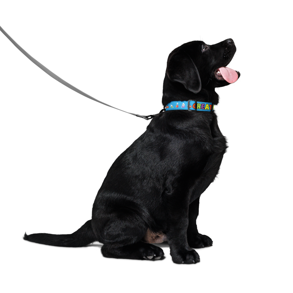pet-collar-white-m-front-6a1f55902f5ef.png