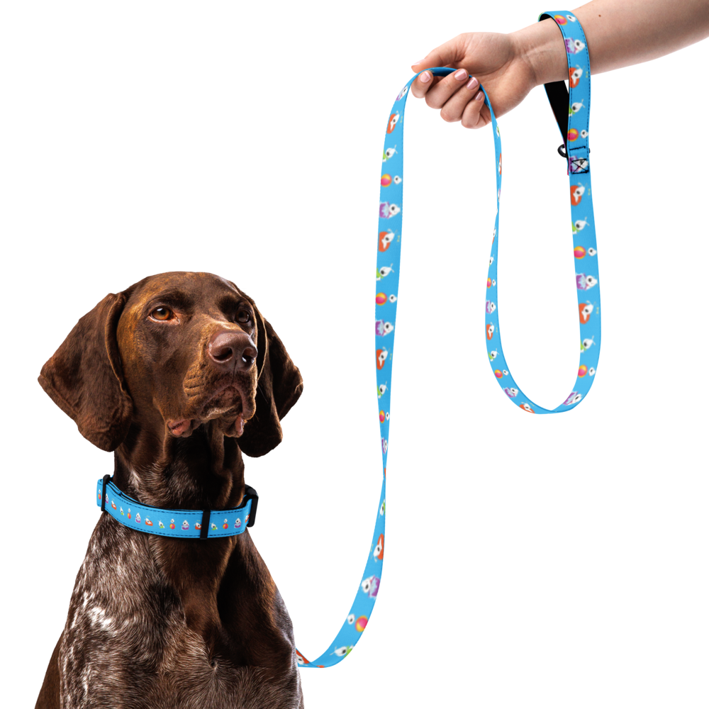 pet-collar--leash-white-l-front-69bb1ac5efa16.png