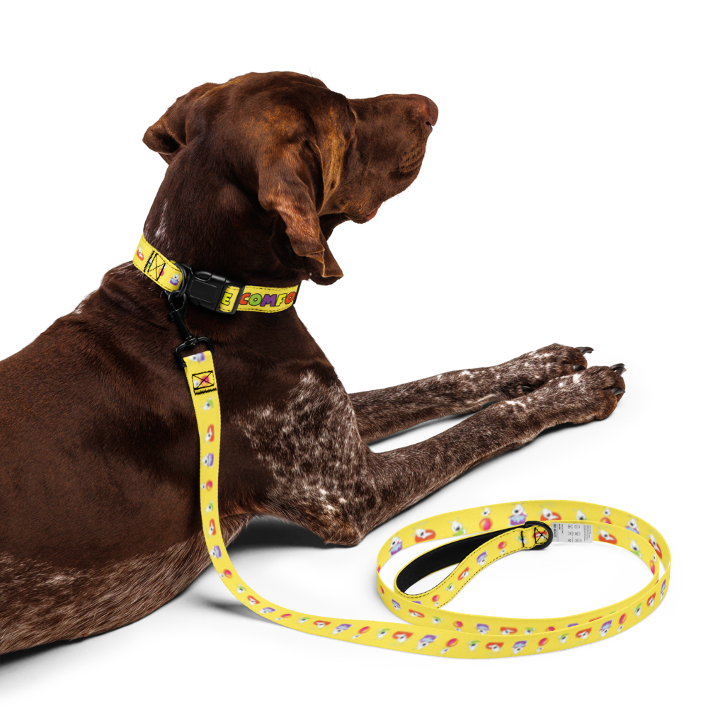 pet-collar--leash-white-l-front-6a202ddc24b89.png