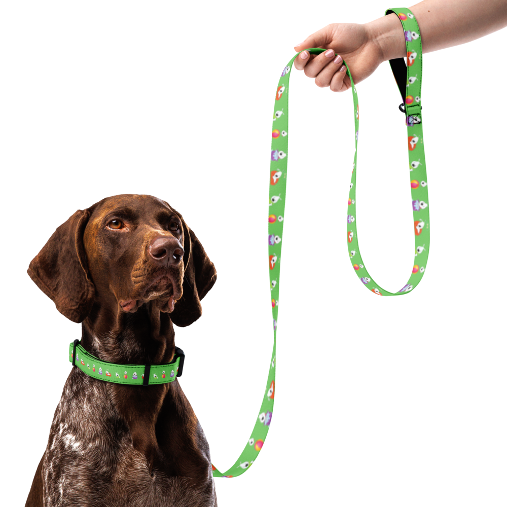 pet-collar--leash-white-l-front-69bb1b976c7e8.png