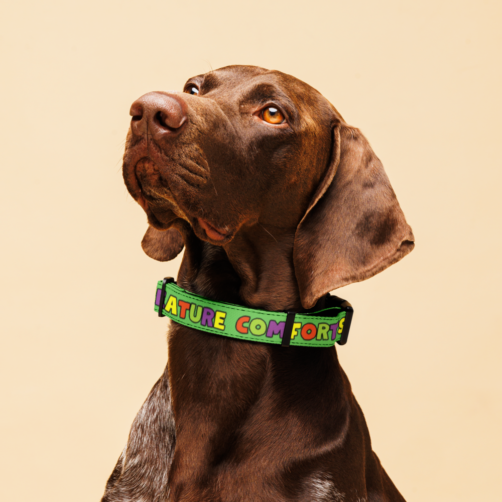 pet-collar-white-l-front-6a1f3f74812b5.png