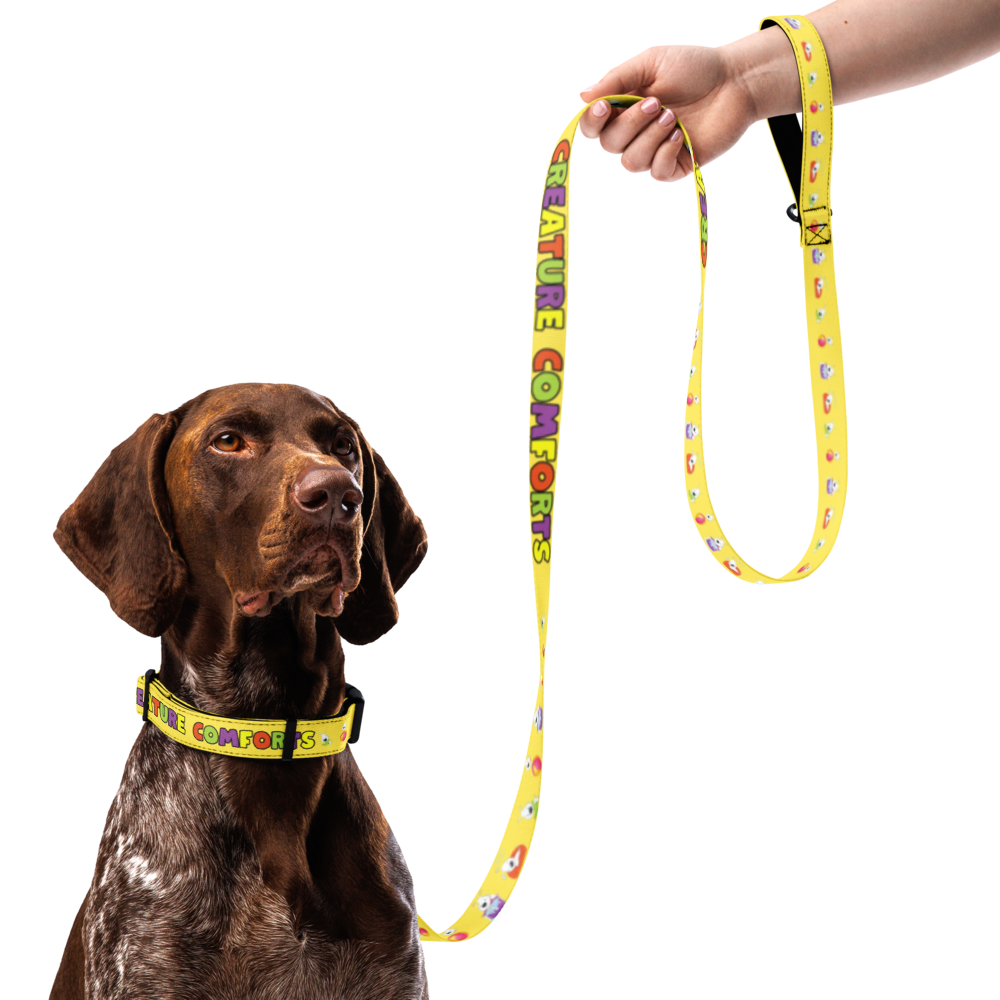 pet-collar--leash-white-l-front-6a202ddc24c21.png