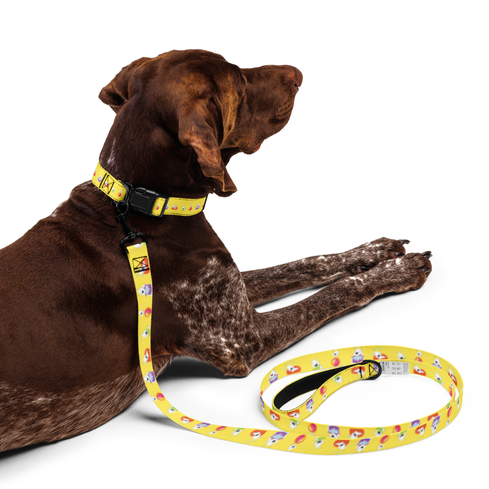 pet-collar--leash-white-l-front-69bb2ba0b0796.png