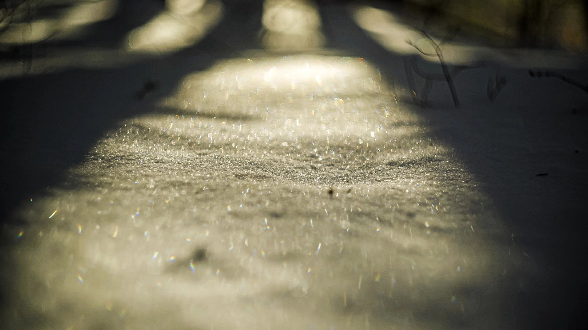 christmasmorn-008.jpg