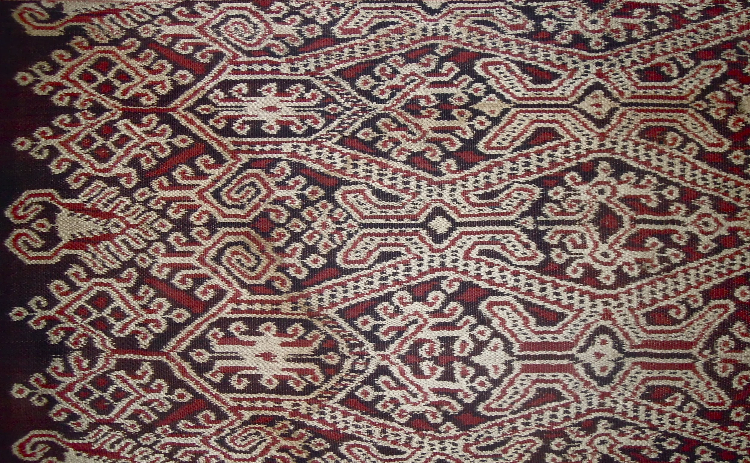 DSCN6018.JPG