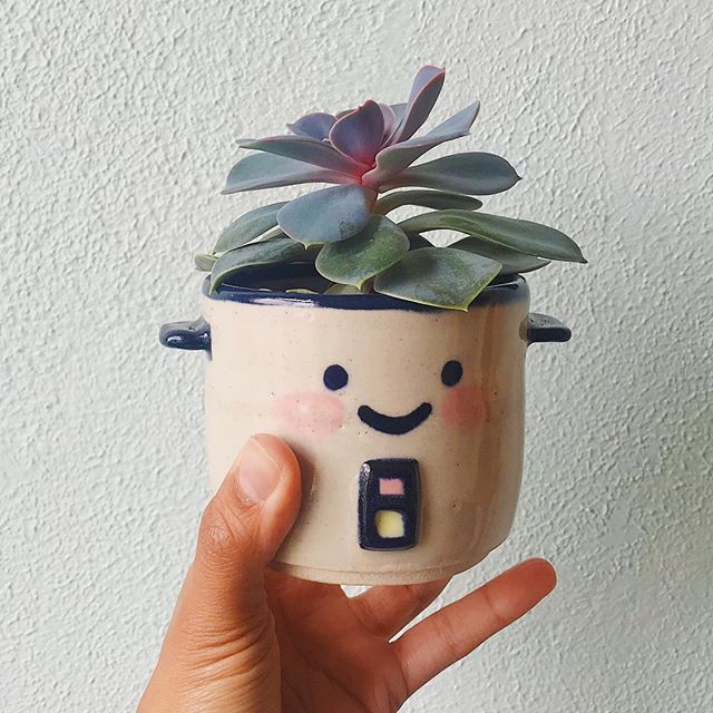 My first rice cooker pot. And the succulent from @fractalflora is growing!! Yay! I didn&rsquo;t kill it 🤣. This bb is all mine but I hope to make more to sell online for the holidays.