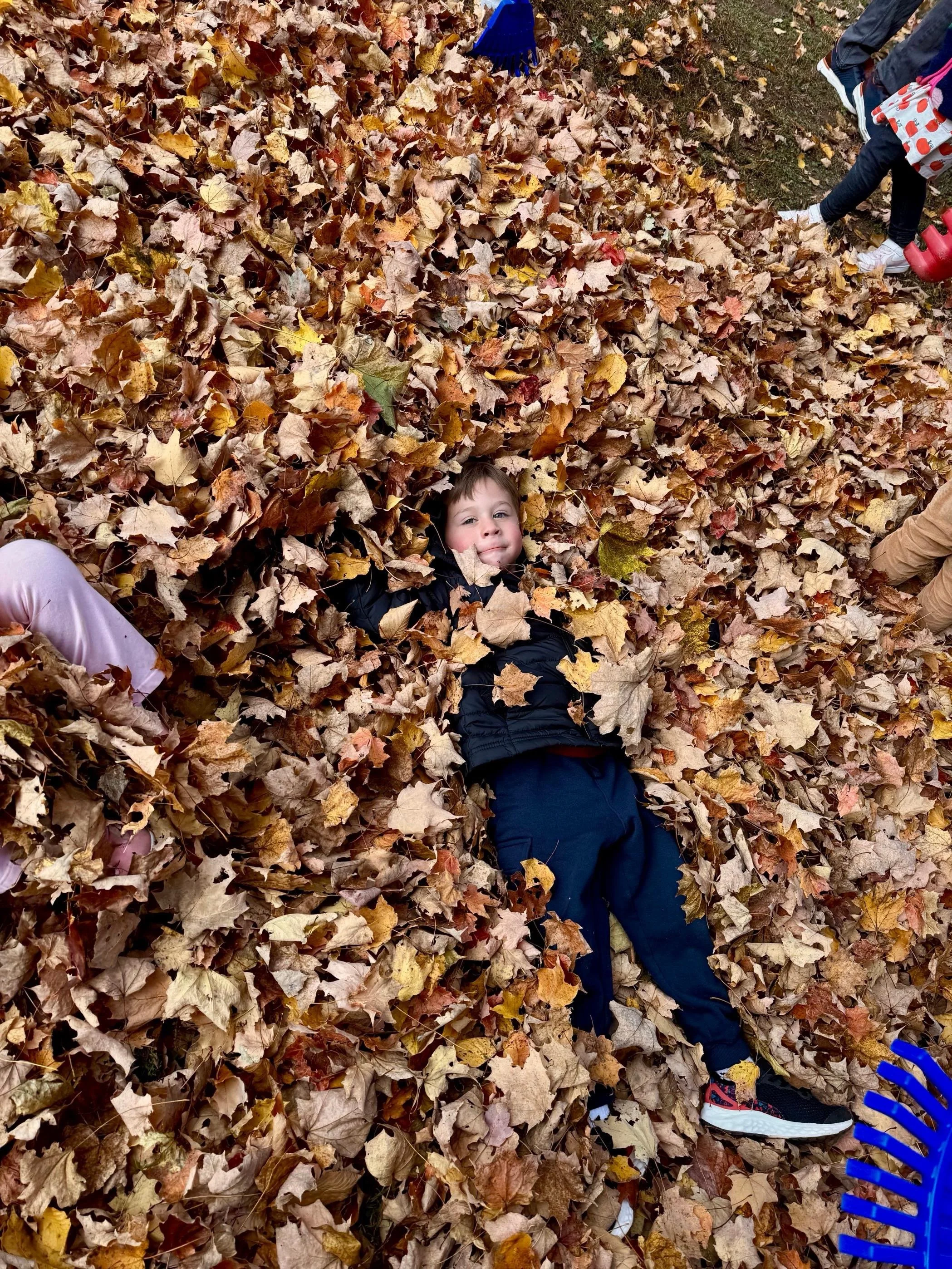 leaves pk3.JPG