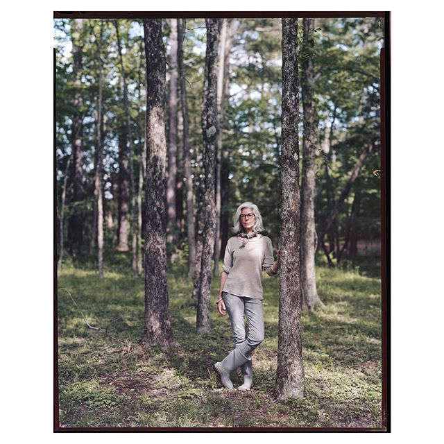 Ippy | amongst the elms
@ippypatterson 
#portra160