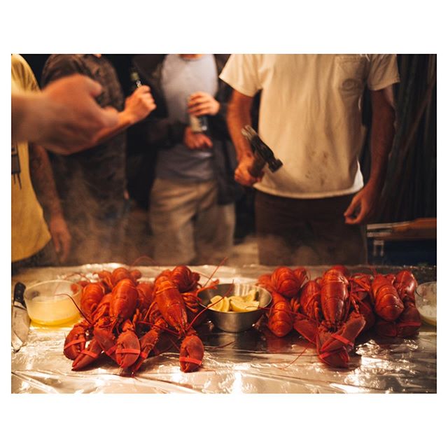 The proper way to eat a lobster(s)
&bull;PBR
&bull;table covered in tin foil
&bull;butter dishes/lemon wedges
&bull;hammer
&bull;some pals to give you a hand