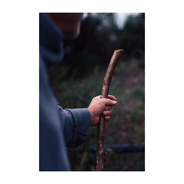 Into | the woods
.
I came to Italy to experience/document the olive harvest again. 10 years have passed since I was part of it last. I left a lot to chance and relied on the relationships I had cultivated over the 10 years of traveling to Italy. I qu