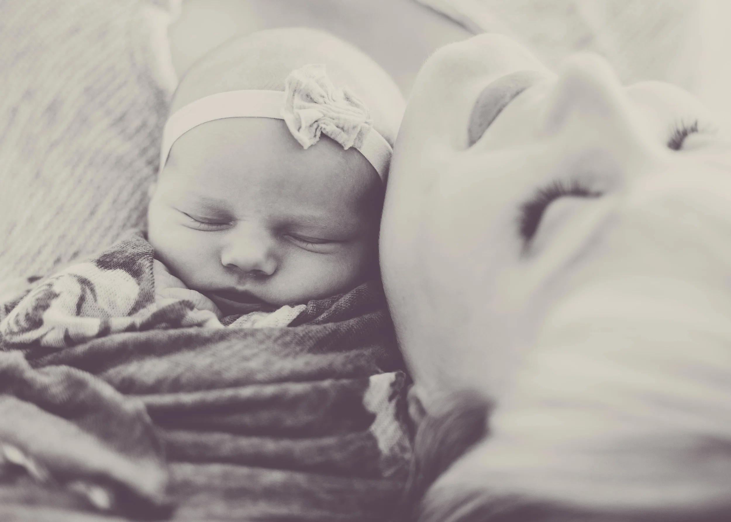 2014-00045-11.jpg
