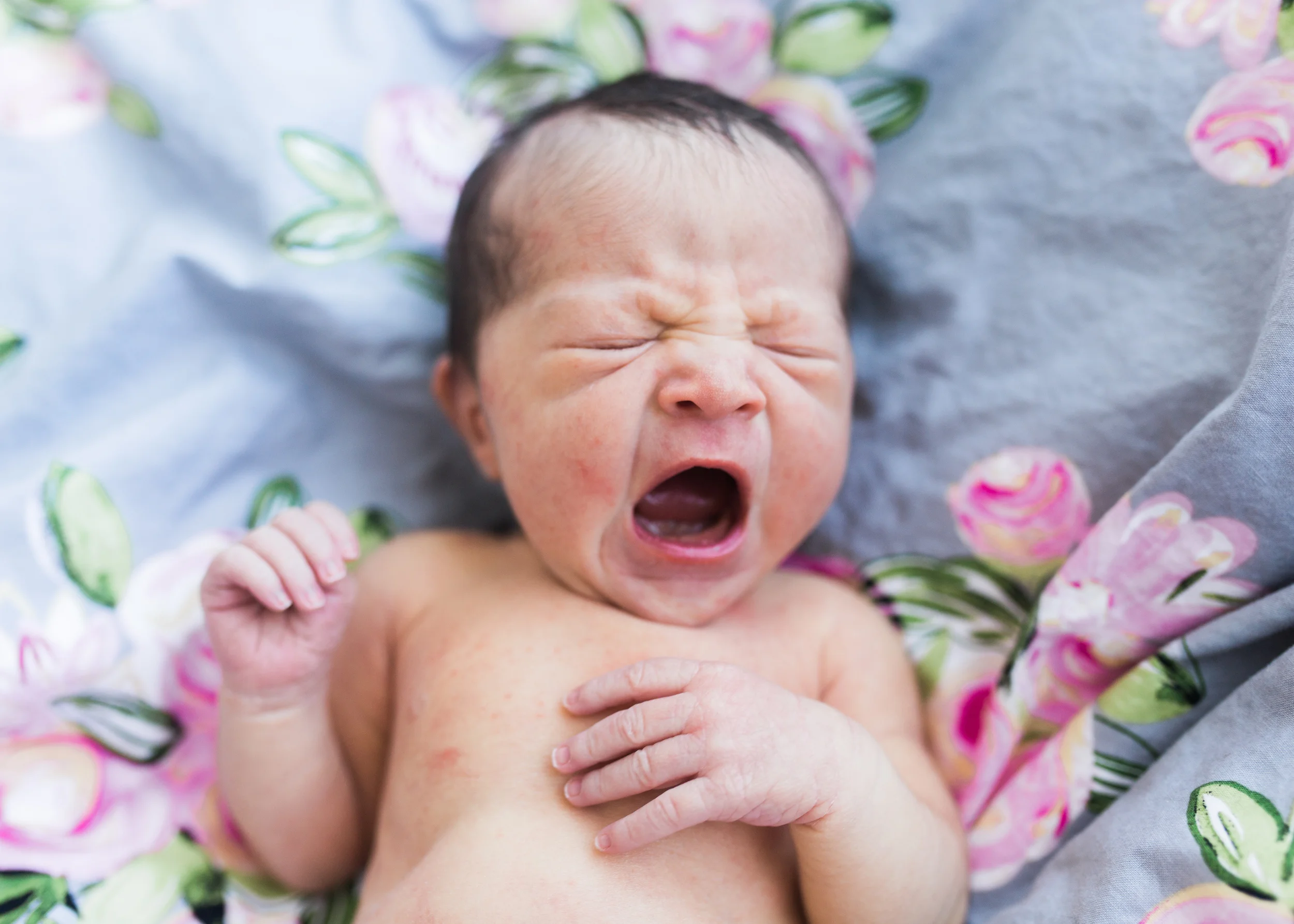 MayLily2015-00083-6.jpg