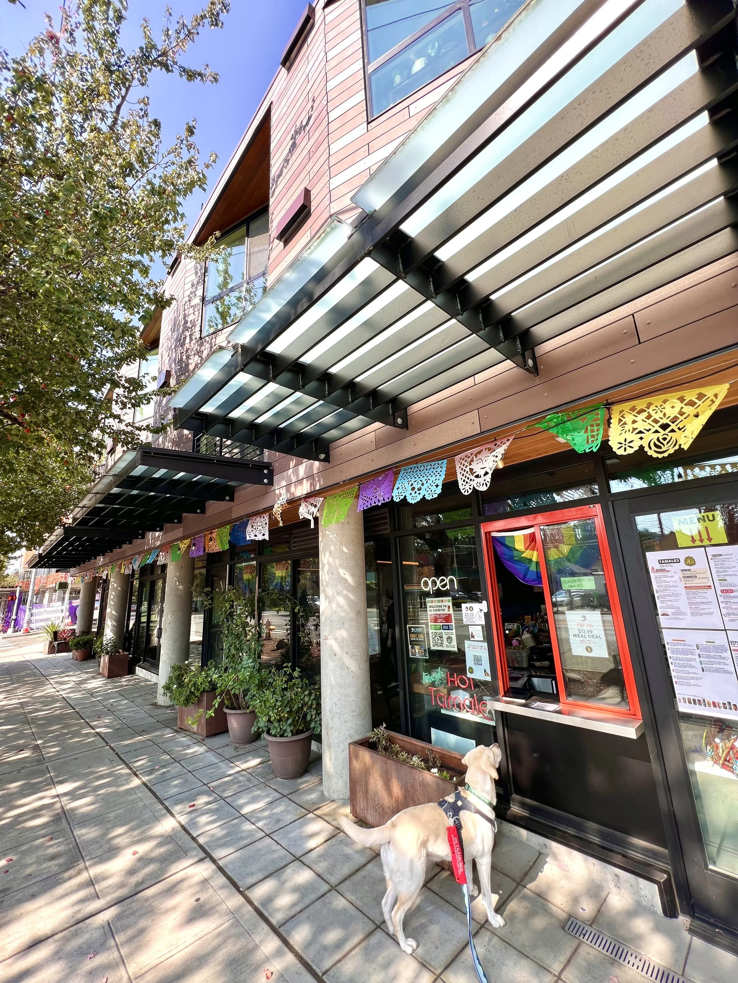 Fremont Mixed-Use - 2.jpeg