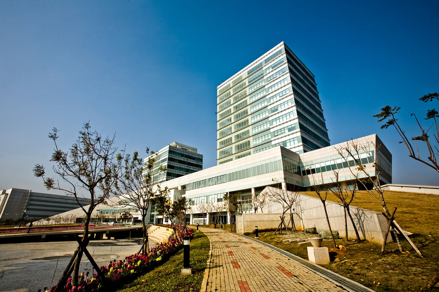 _MG_3822.jpg
