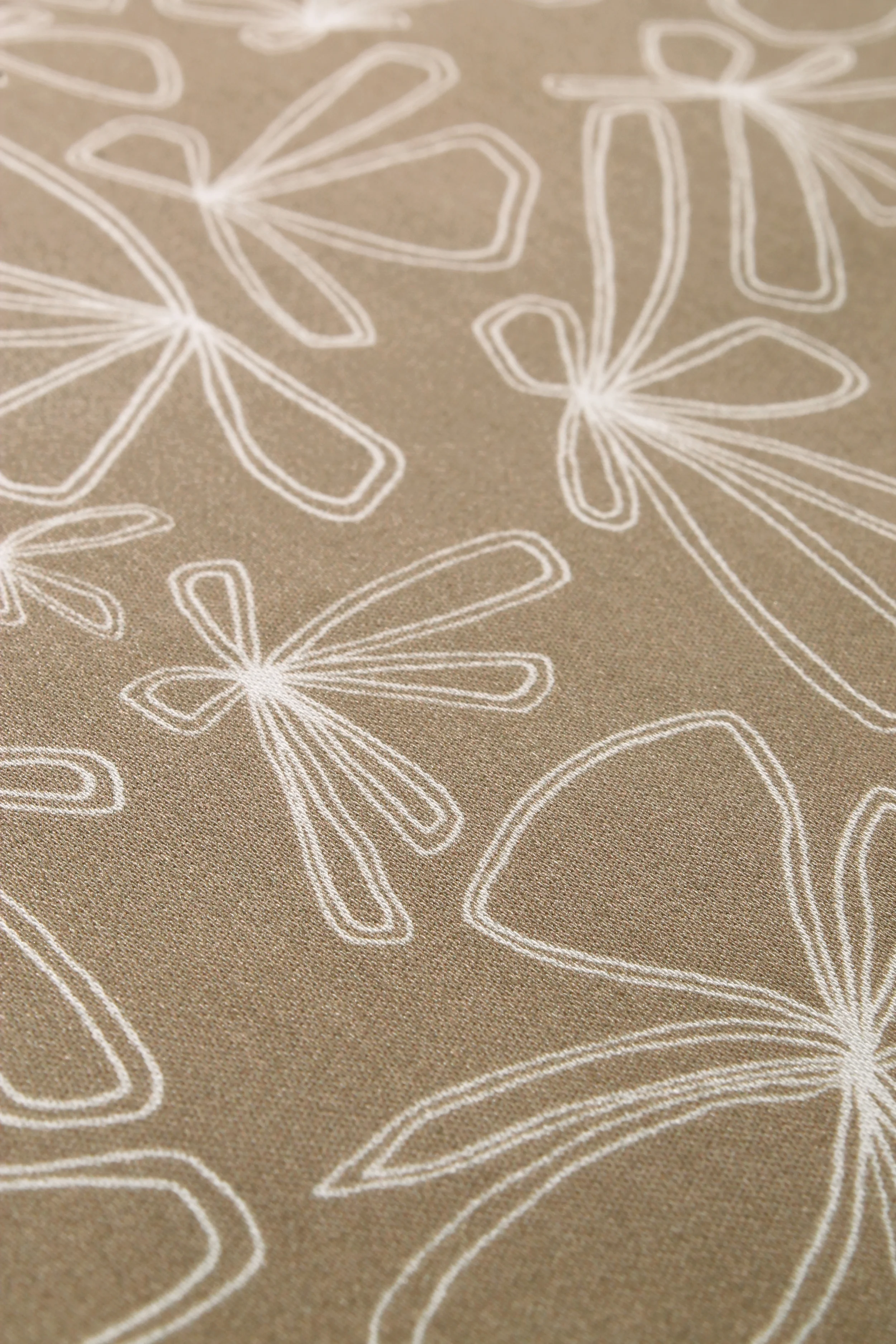 PrarieBloomDetail.jpg