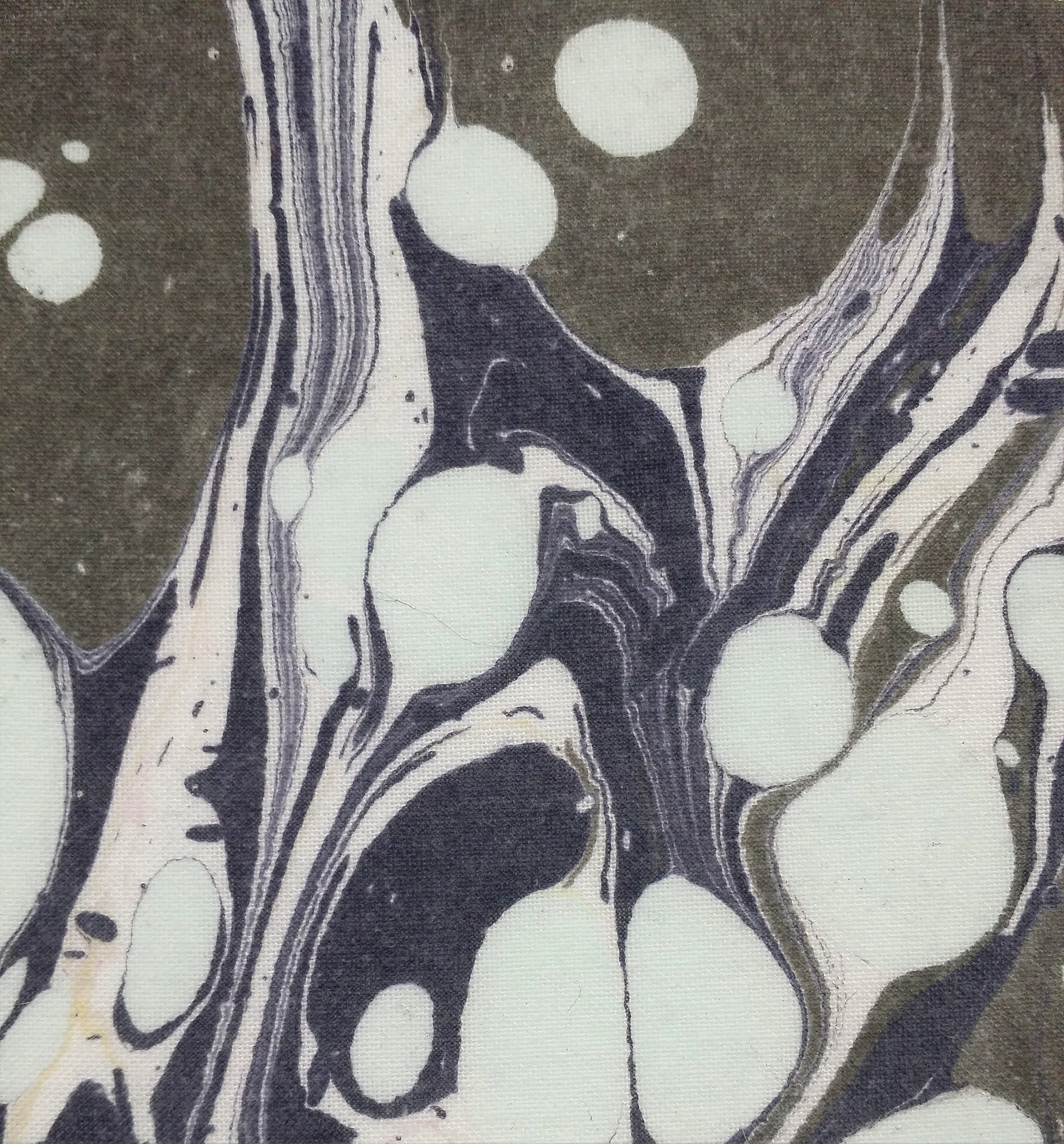 201502x19_170316.jpg