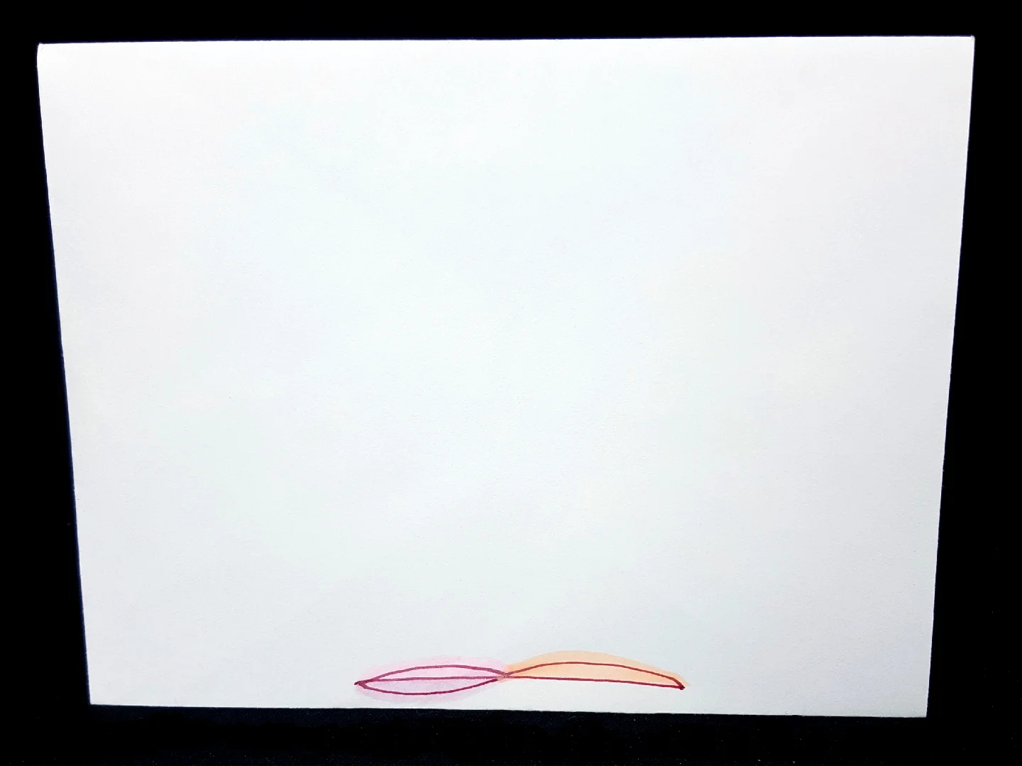 20160222_222430.jpg