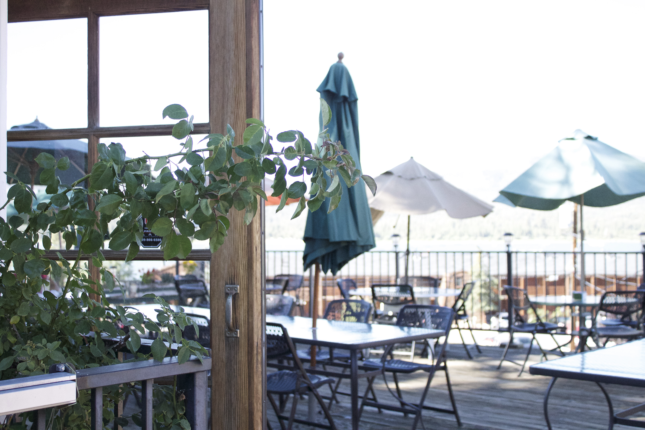 The largest patio in Big Bear!