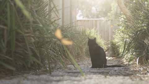 Roadgeek - Towards the Sun.00_01_20_16.Still004.jpg