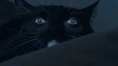 Roadgeek - Towards the Sun.00_04_25_12.Still008.jpg